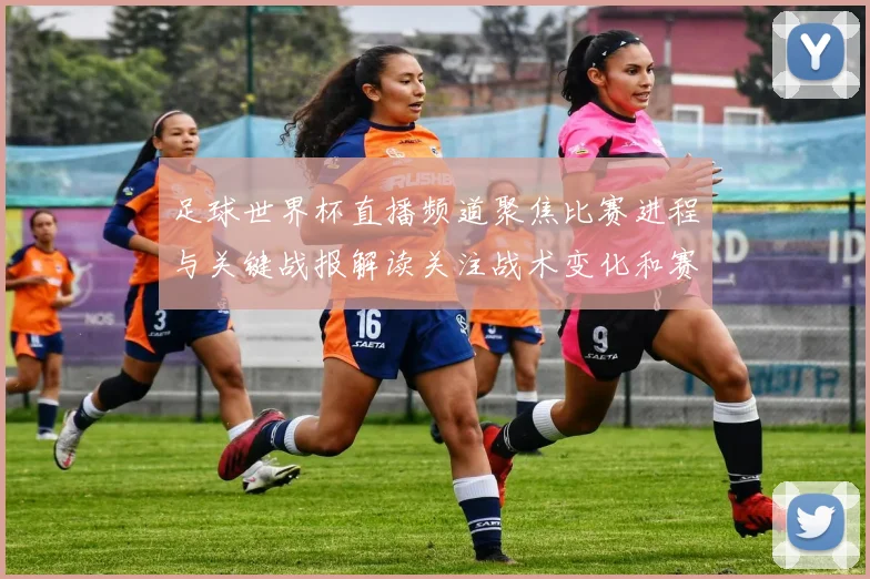 足球世界杯直播频道聚焦比赛进程与关键战报解读关注战术变化和赛场影响