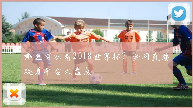 哪里可以看2018世界杯？全网直播观看平台大盘点