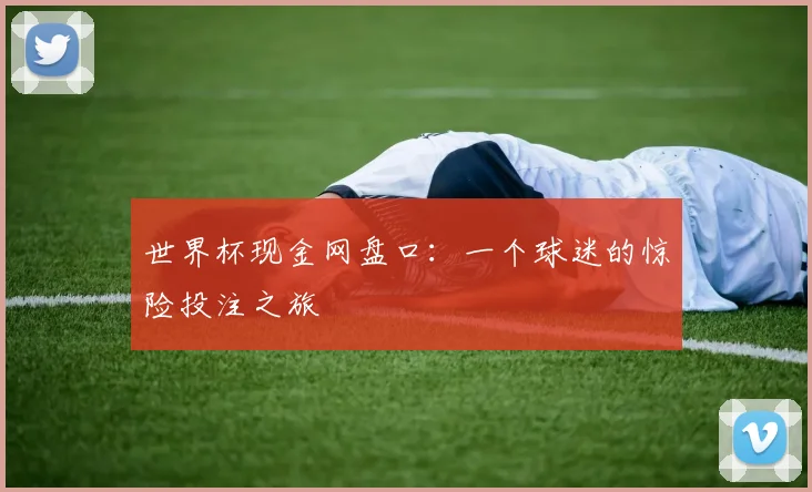 世界杯现金网盘口：一个球迷的惊险投注之旅