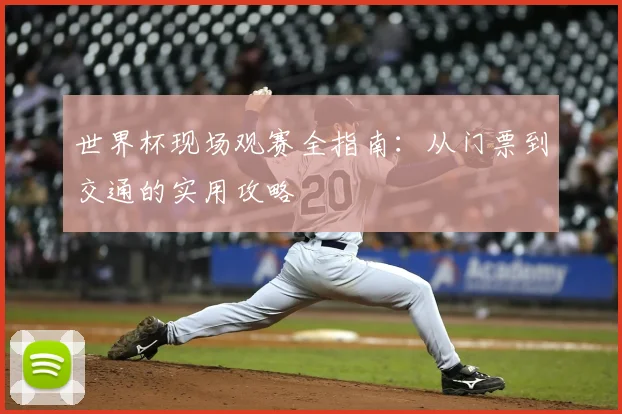 世界杯现场观赛全指南:从门票到交通的实用攻略