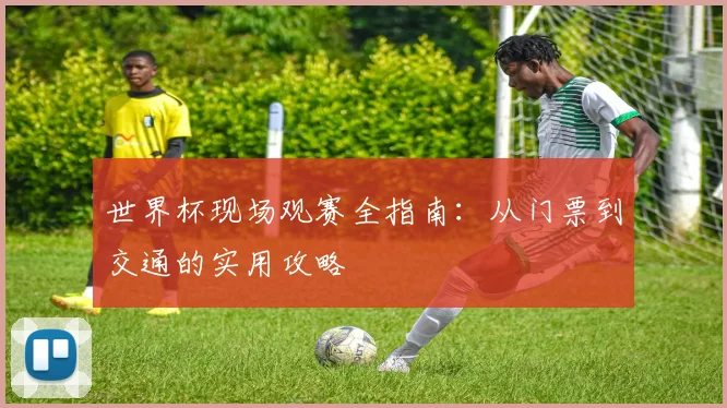 世界杯现场观赛全指南:从门票到交通的实用攻略