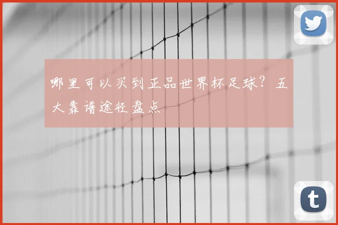 哪里可以买到正品世界杯足球？五大靠谱途径盘点